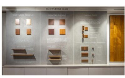 From Vision to Foundation: The Natural Elements Journey