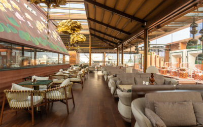 Niloufer chath | Hyderabad