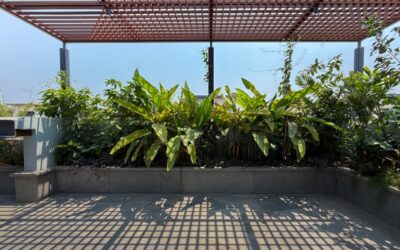 Hardwood Flooring: Crafting Spaces with Nature